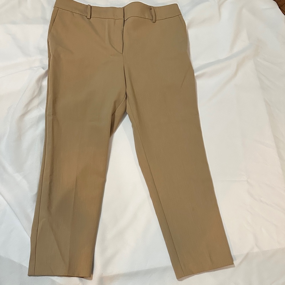 Ann Taylor Classic Beige Trousers